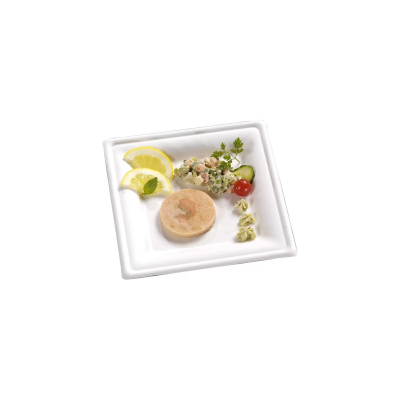 plato blanco cuadrado pulpa c 500 un