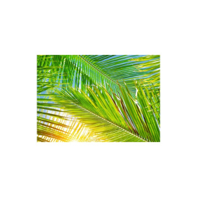 mantel papel 30x42 hawai cj500 unid