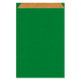 bolsa plana kraft 269x38 verde p 250 un