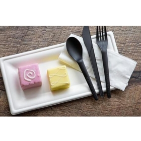 rabanera bagasse ecoprod260x130x15 paq50 unidc 500 un