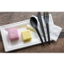 rabanera bagasse ecoprod260x130x15 paq50 unidc 500 un
