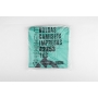 bolsa asa camiseta 42x53 verde 1kg 59 un