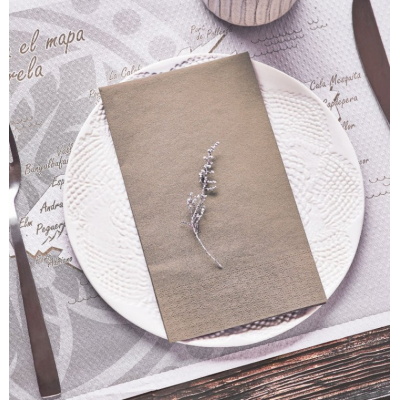 servilleta tissue 40x40 2 cpeco nature c 2400