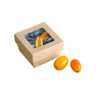 caja con tapa ventana kray 85x85x40 cj250