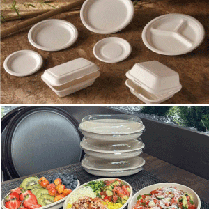 Envases de Bagazo (Pulpa de la caña de azúcar)